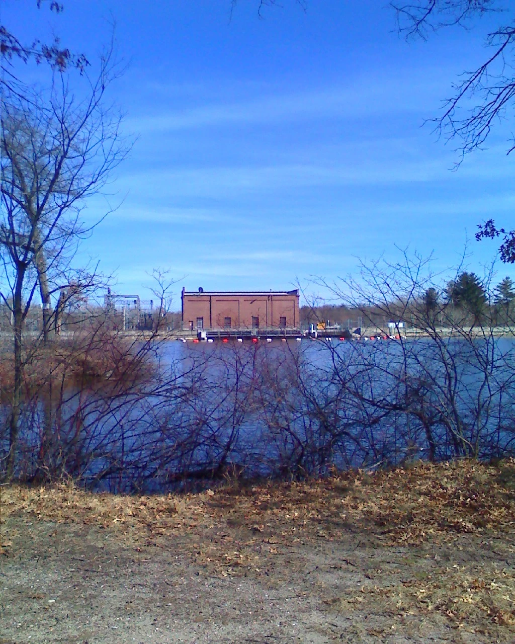 The Back Waters