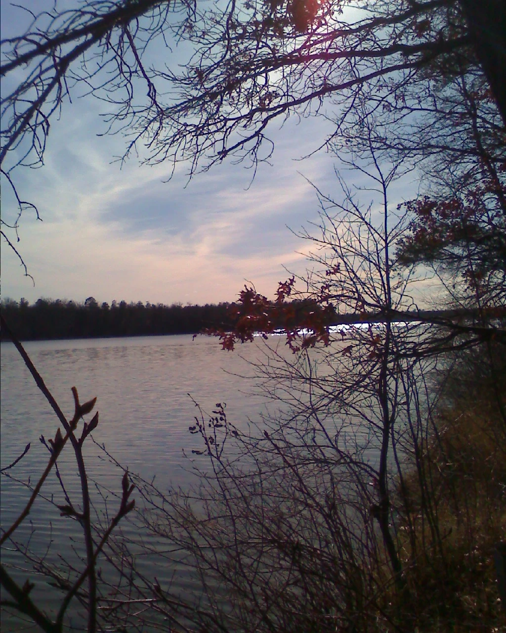The Back Waters