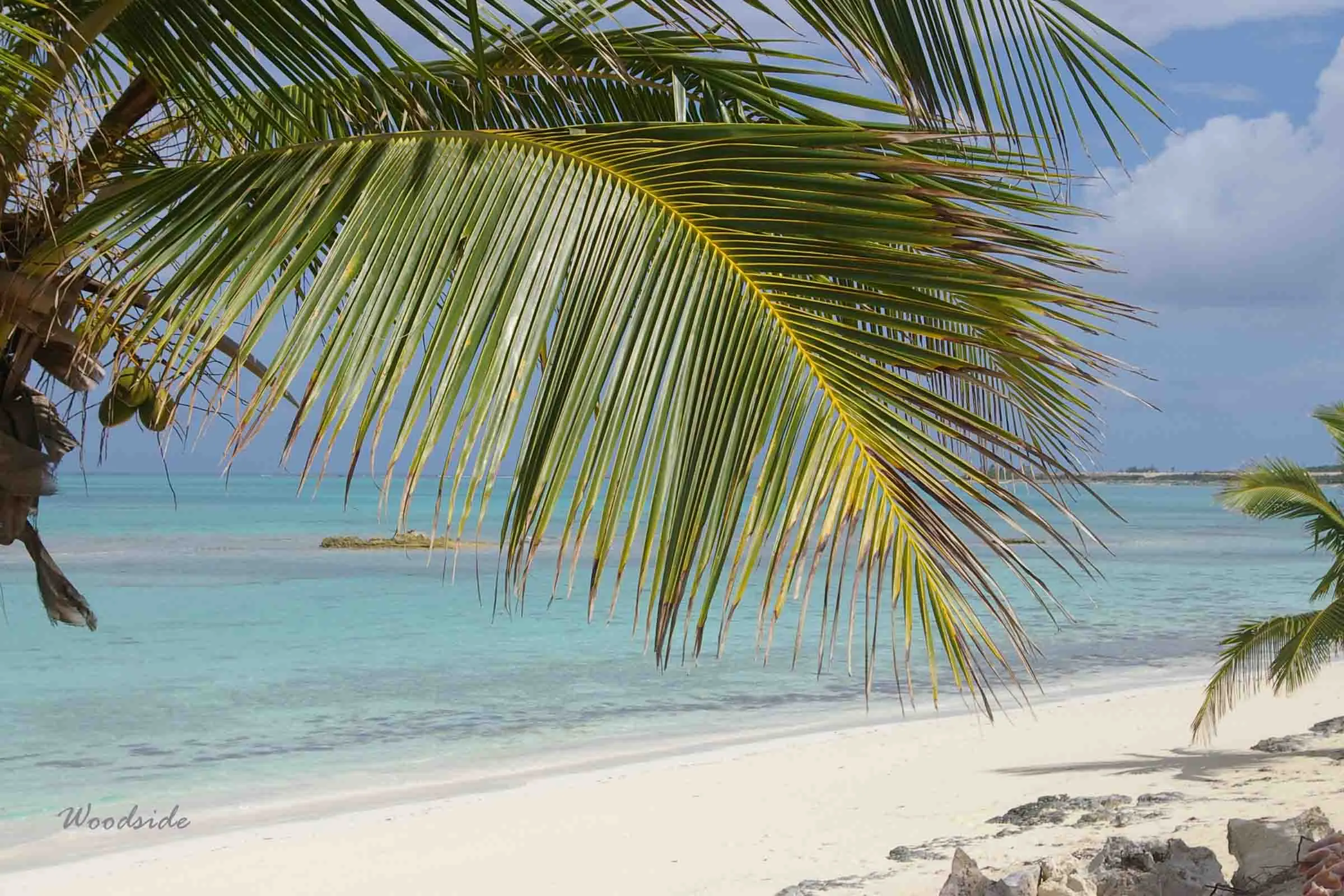 The Beach at Double Ds
