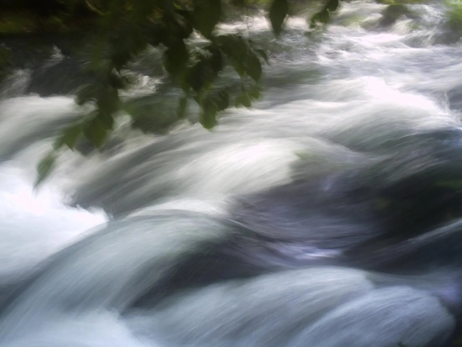 The Current River in  Southeastern, Missouri