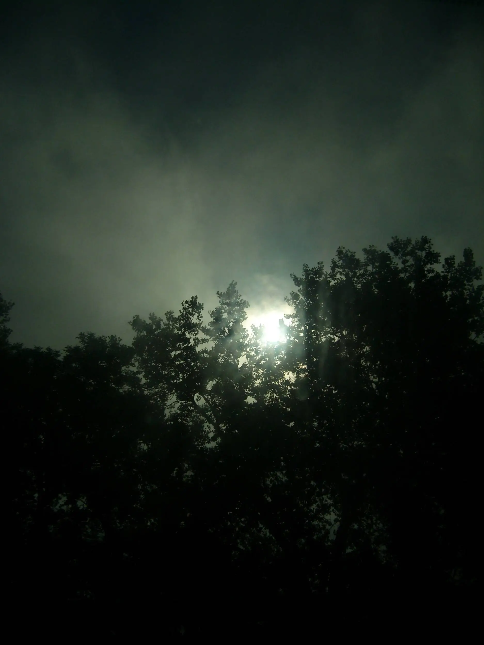 The Fog over the land