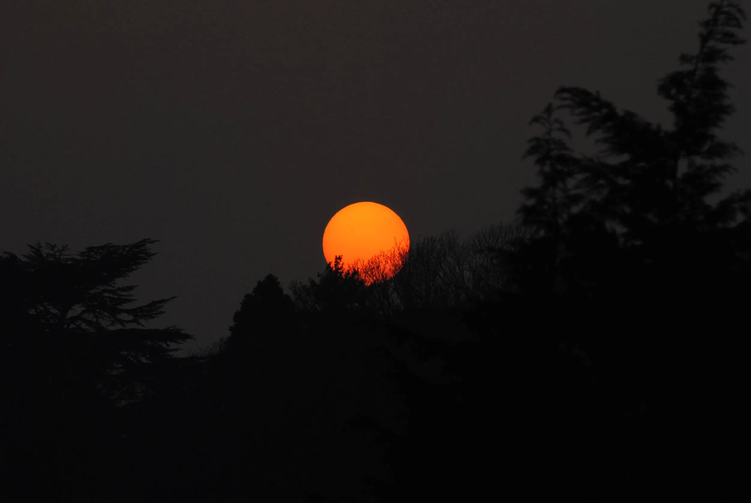 The setting sun