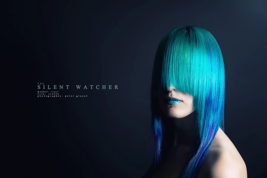 The Silent Watcher