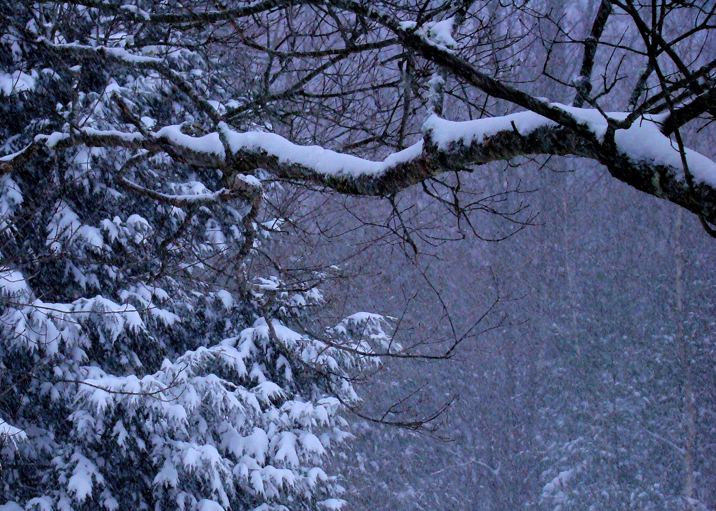 The Start of the storm