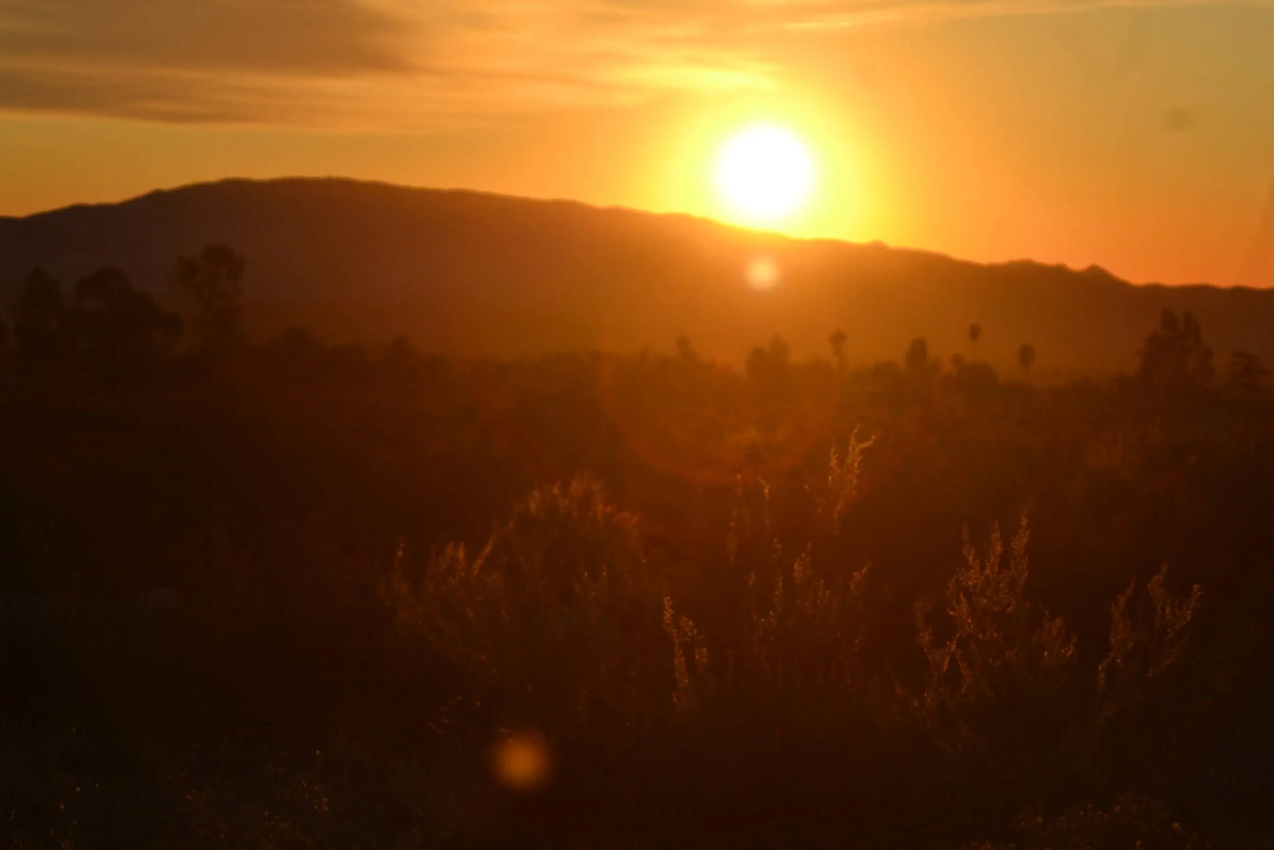 the sun has set in mentone