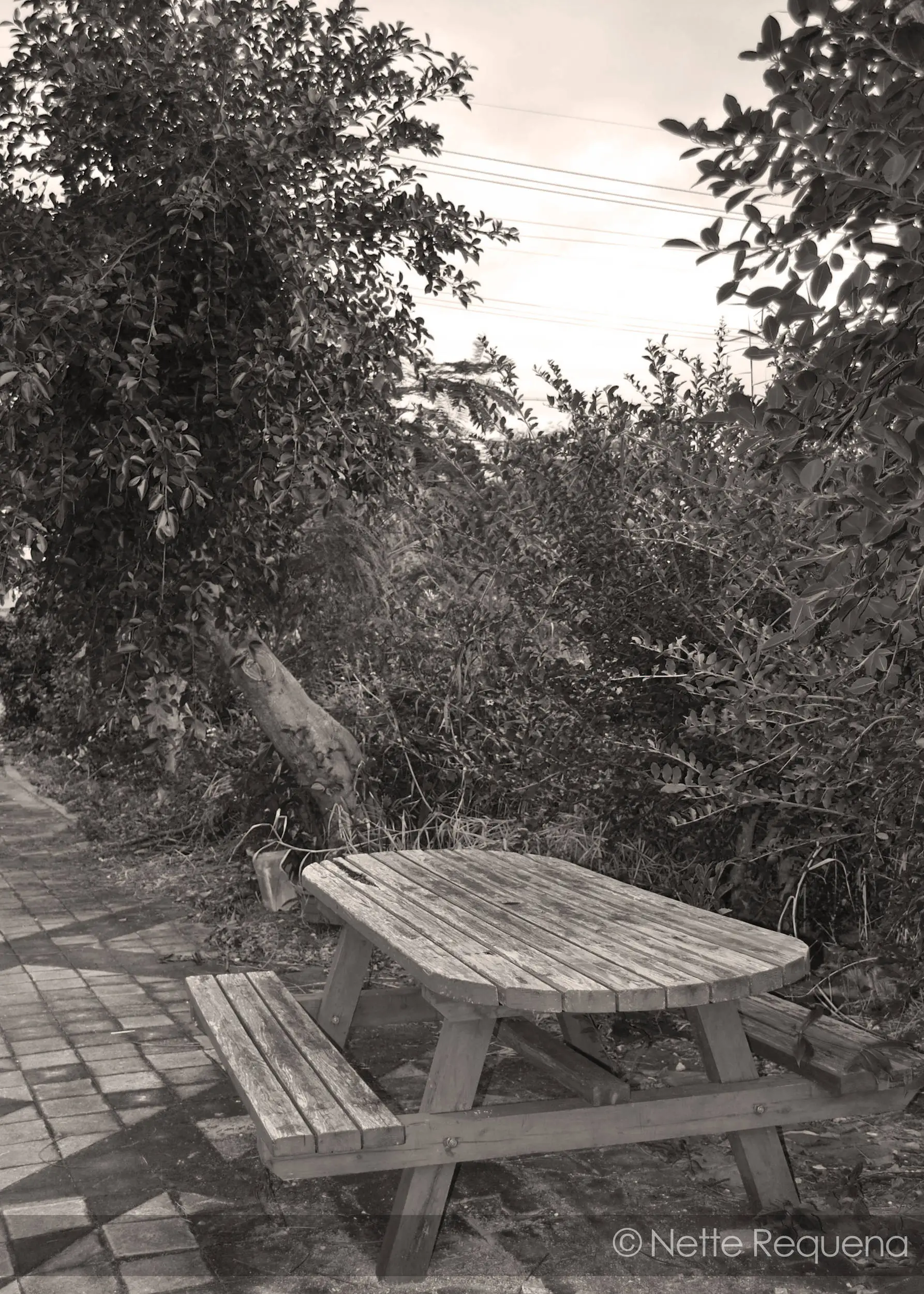The Table