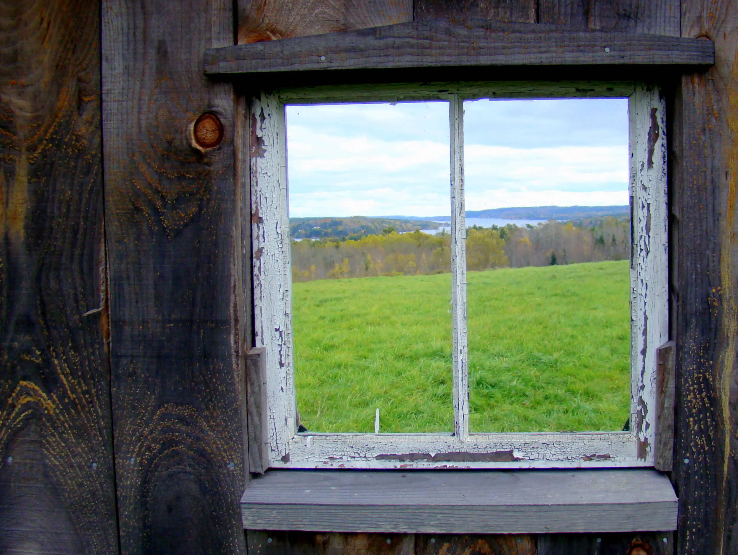the view from a shelter at a friend's farm
