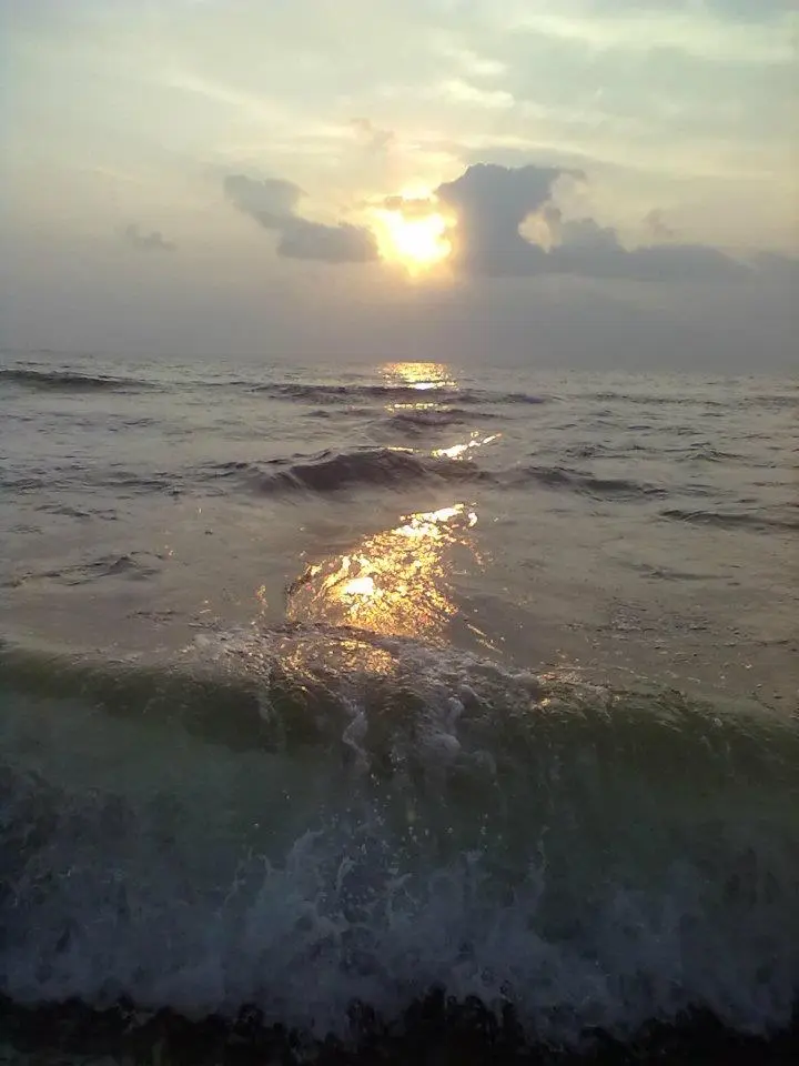 The Wave