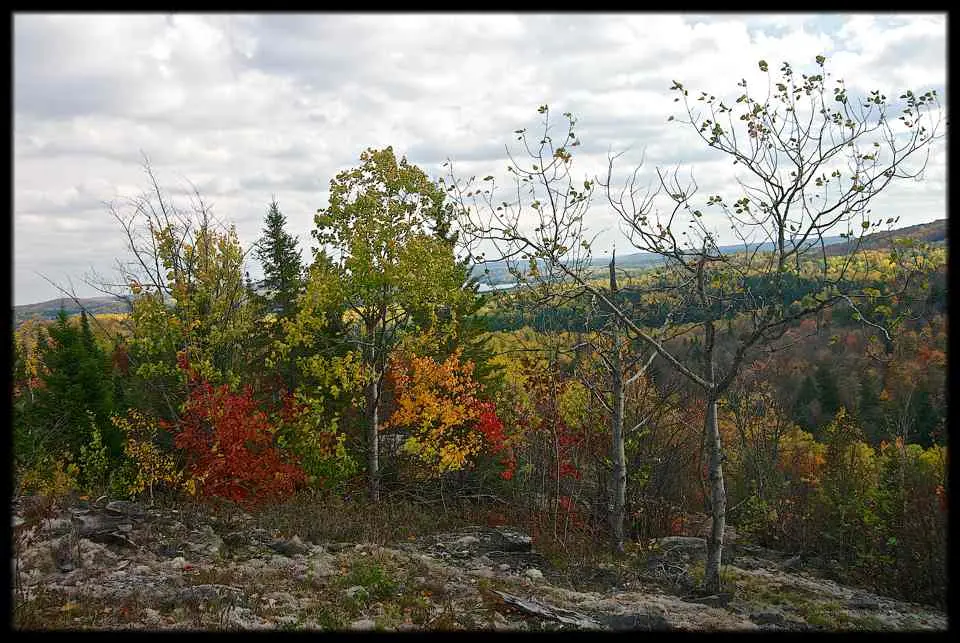 Thistle lake Lookout and Cabin