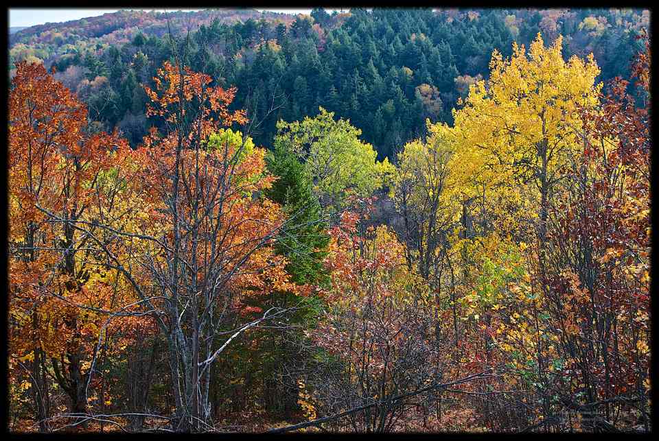 Thistle lake Lookout and Cabin