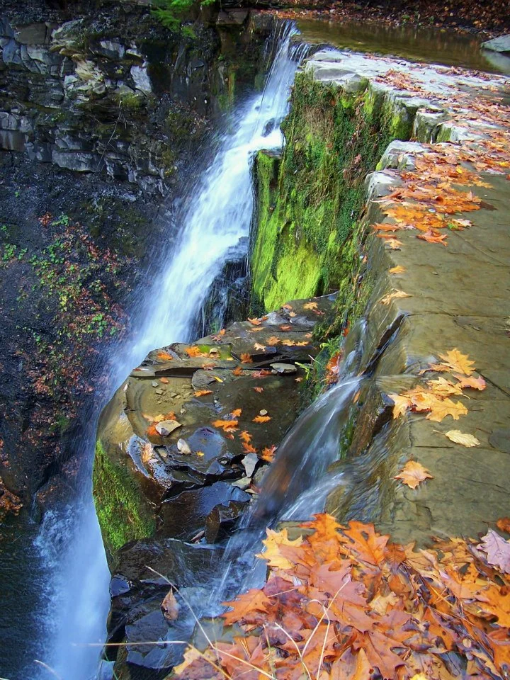 Top of the Falls