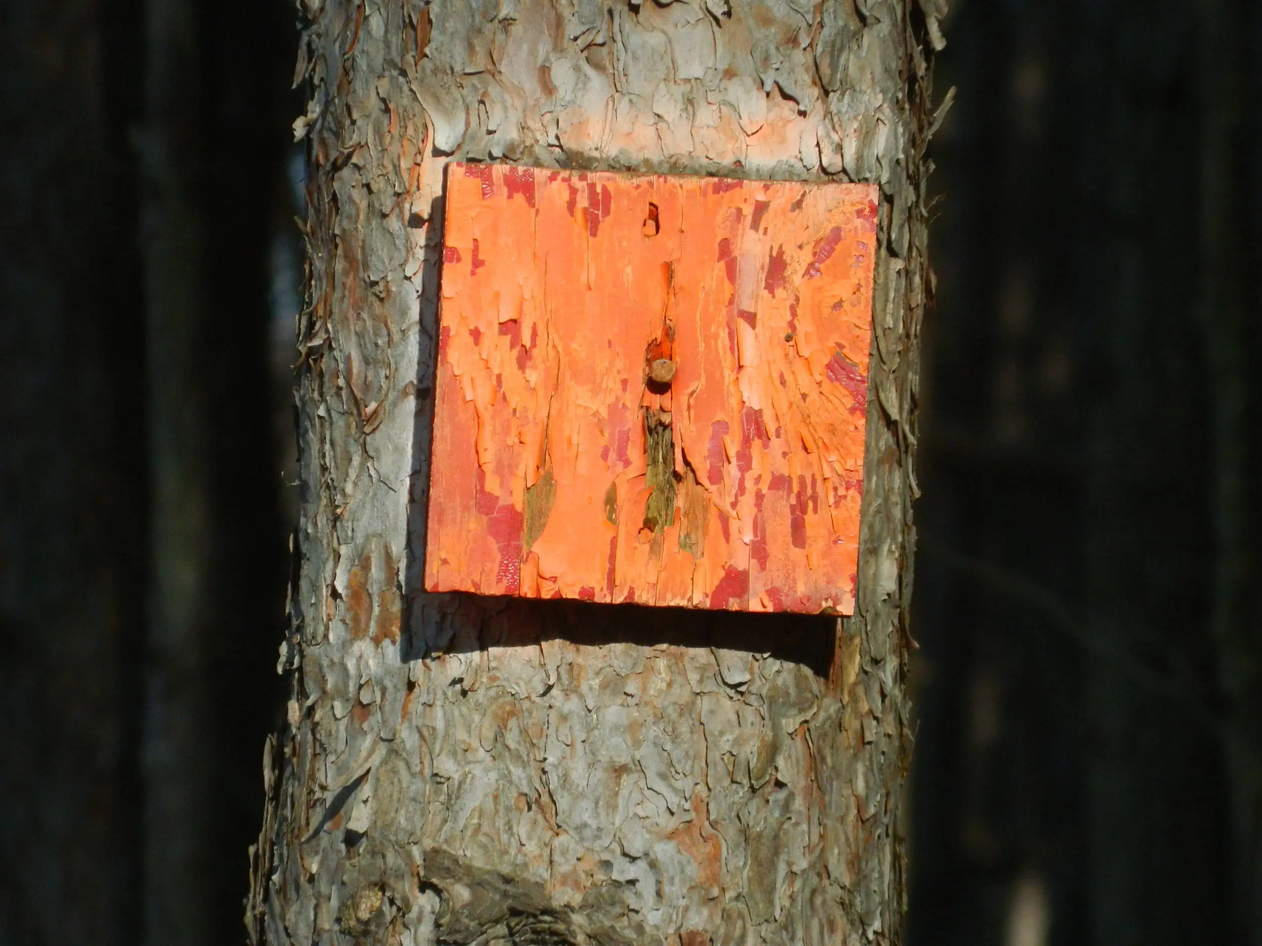 Trail Marker