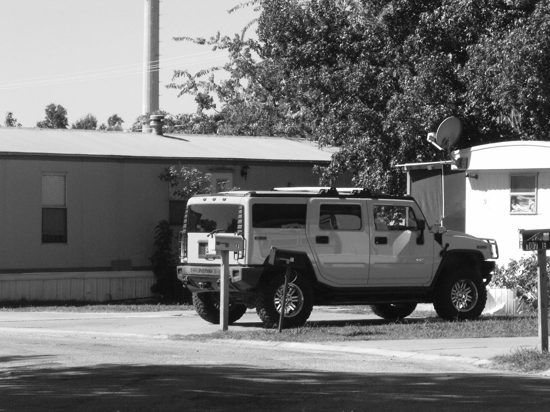 Trailer Park Pimpin'