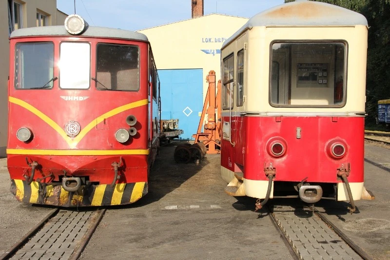 Train ( 100 cm )