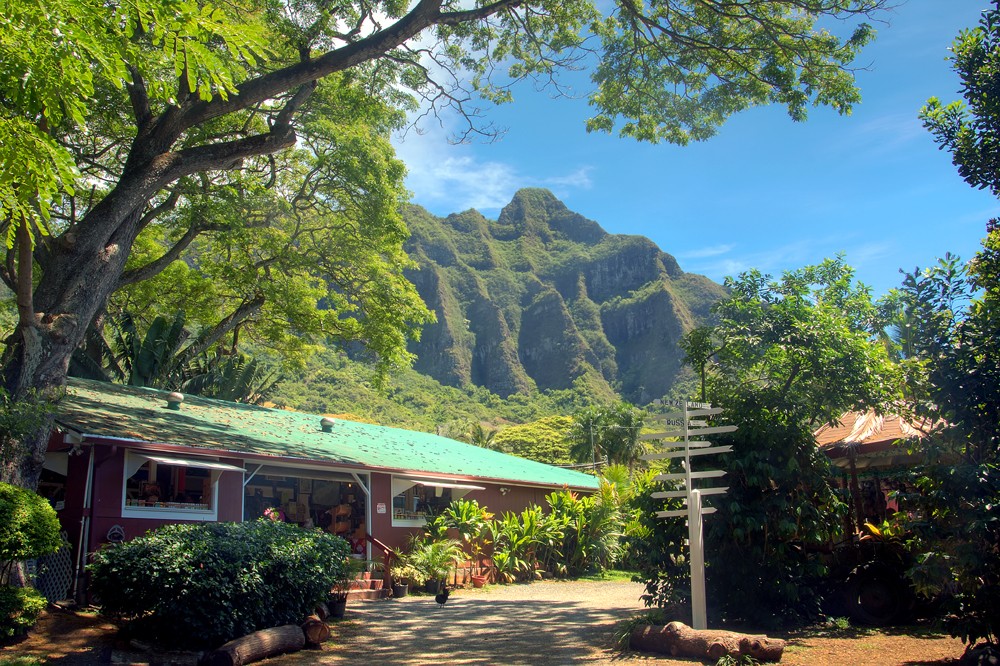 Tropical Farms