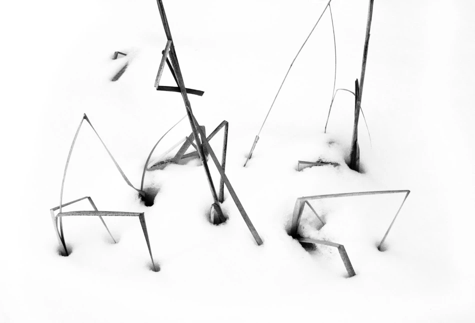 Typha Broken
