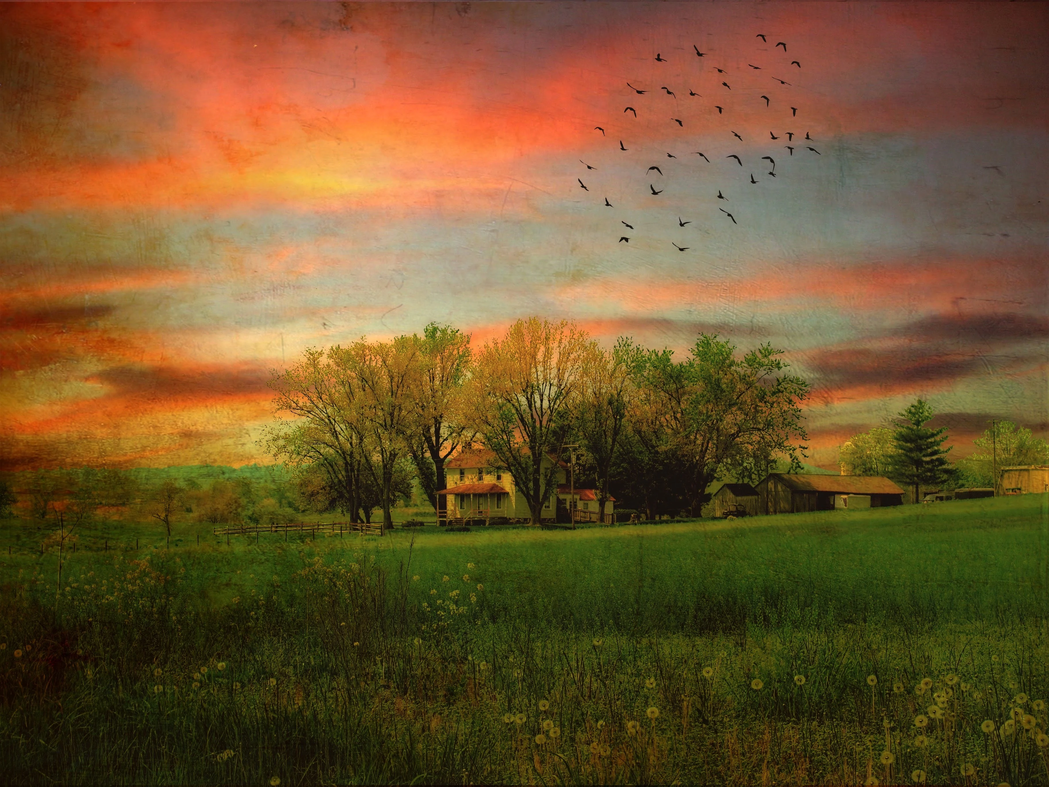 under an orange sky_17741569914_o_Original.jpeg