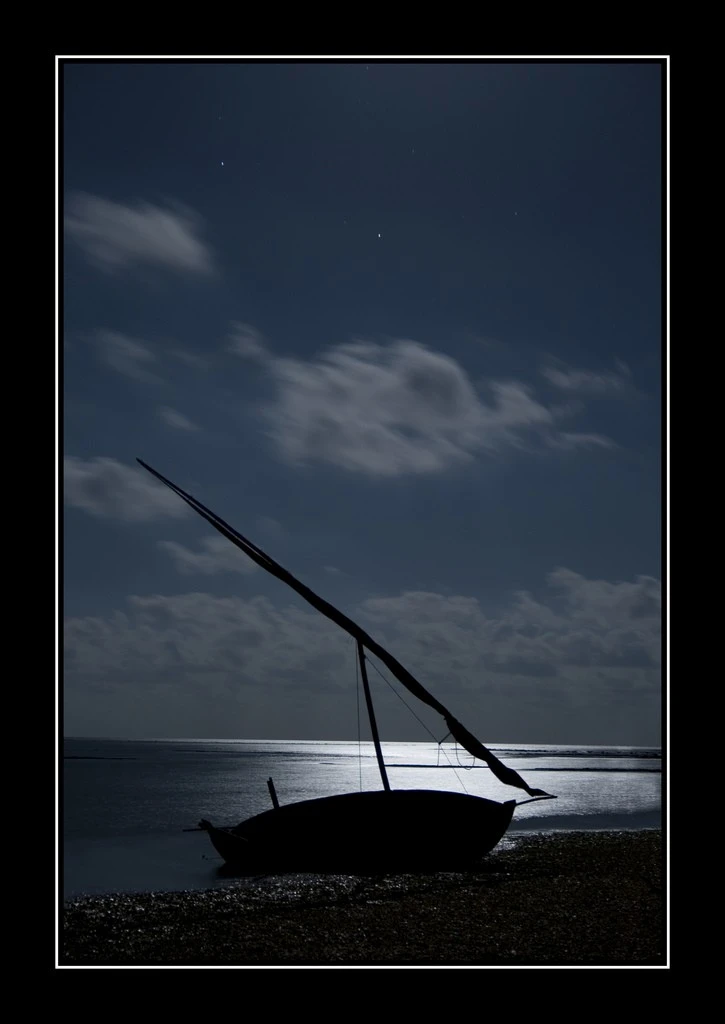 under the moon light