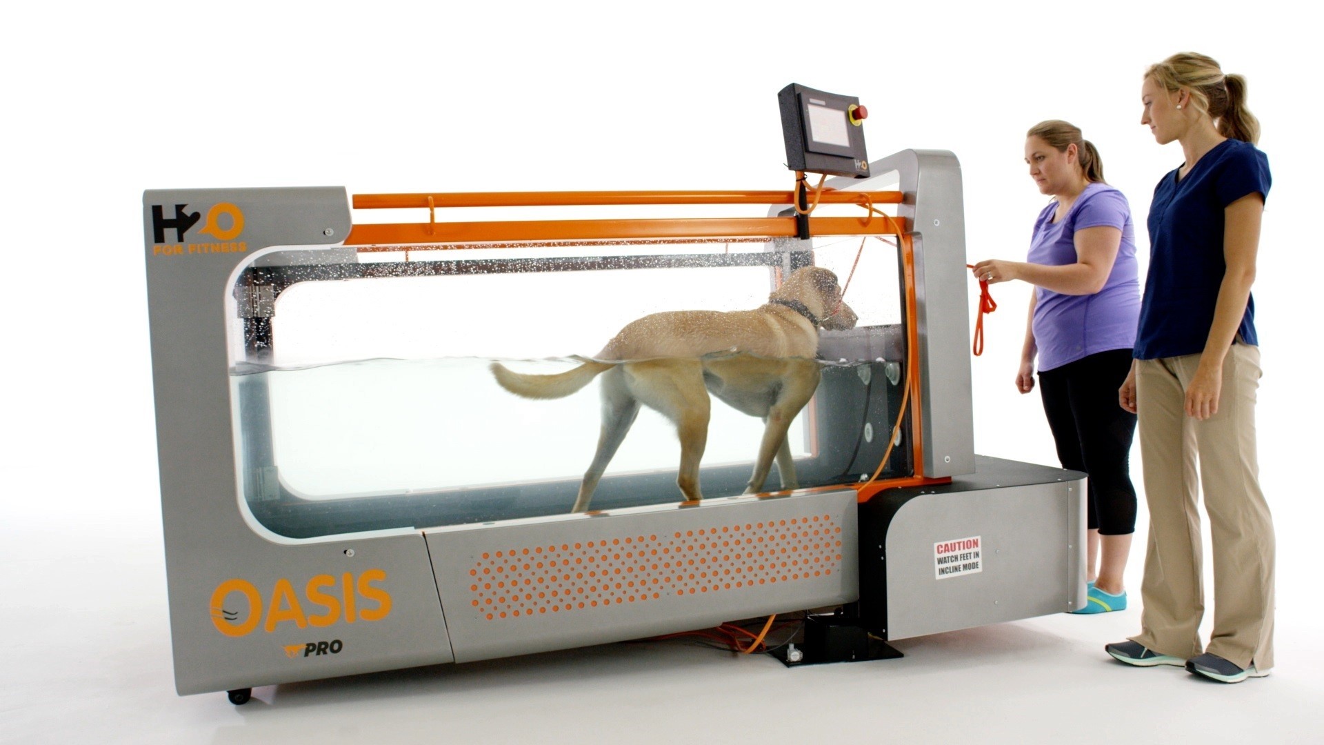 underwater treadmill for canine