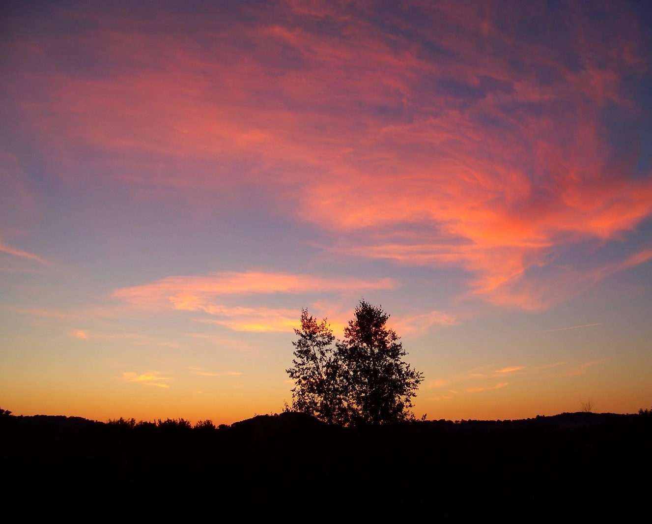 vanilla skies