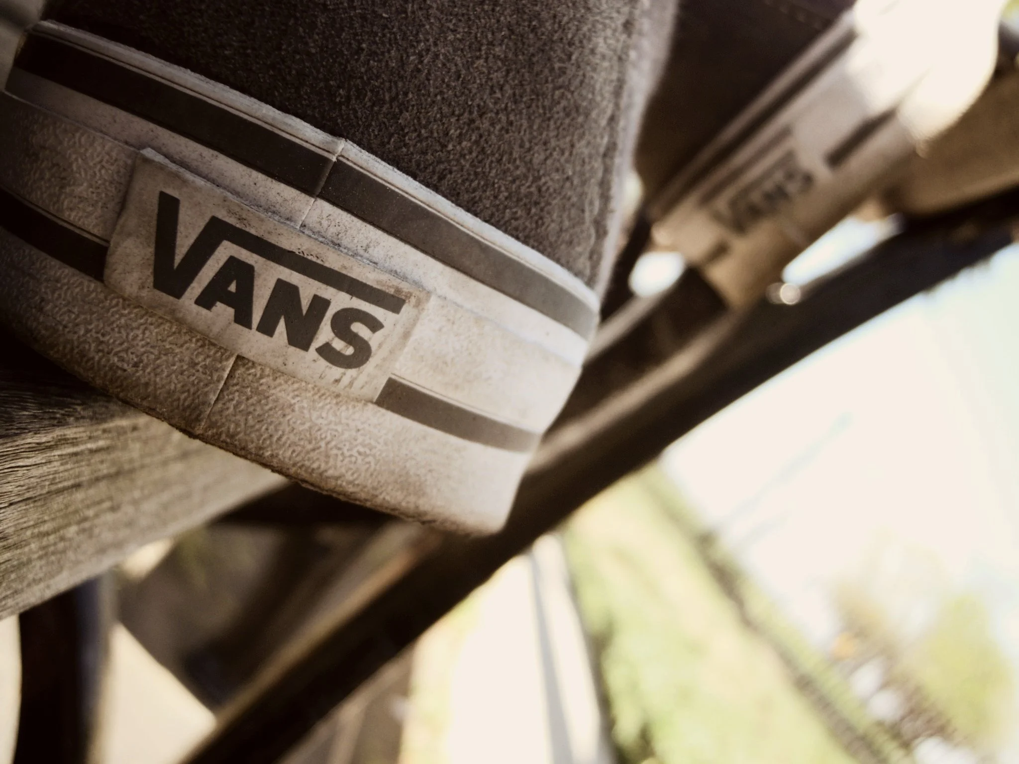 Vans at the park