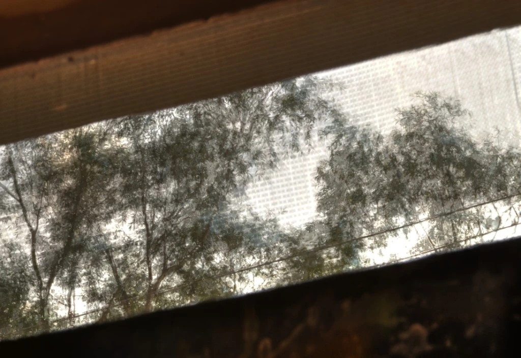 View through my window.