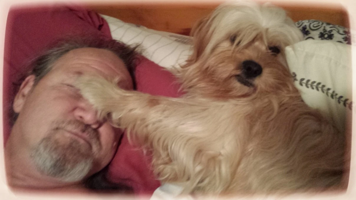wAKE UP daDDY