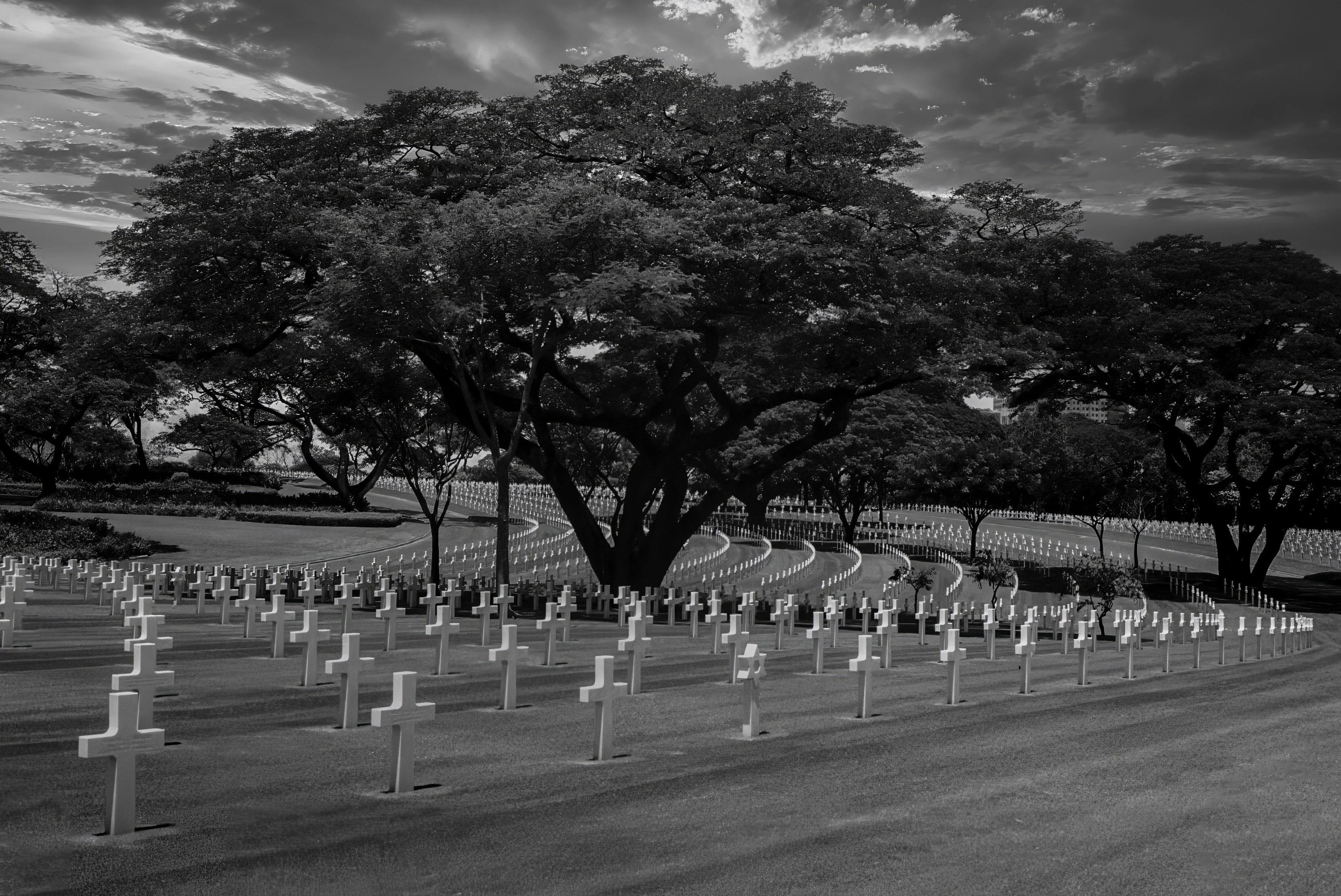 war-cemetery_53004193252_o.jpg