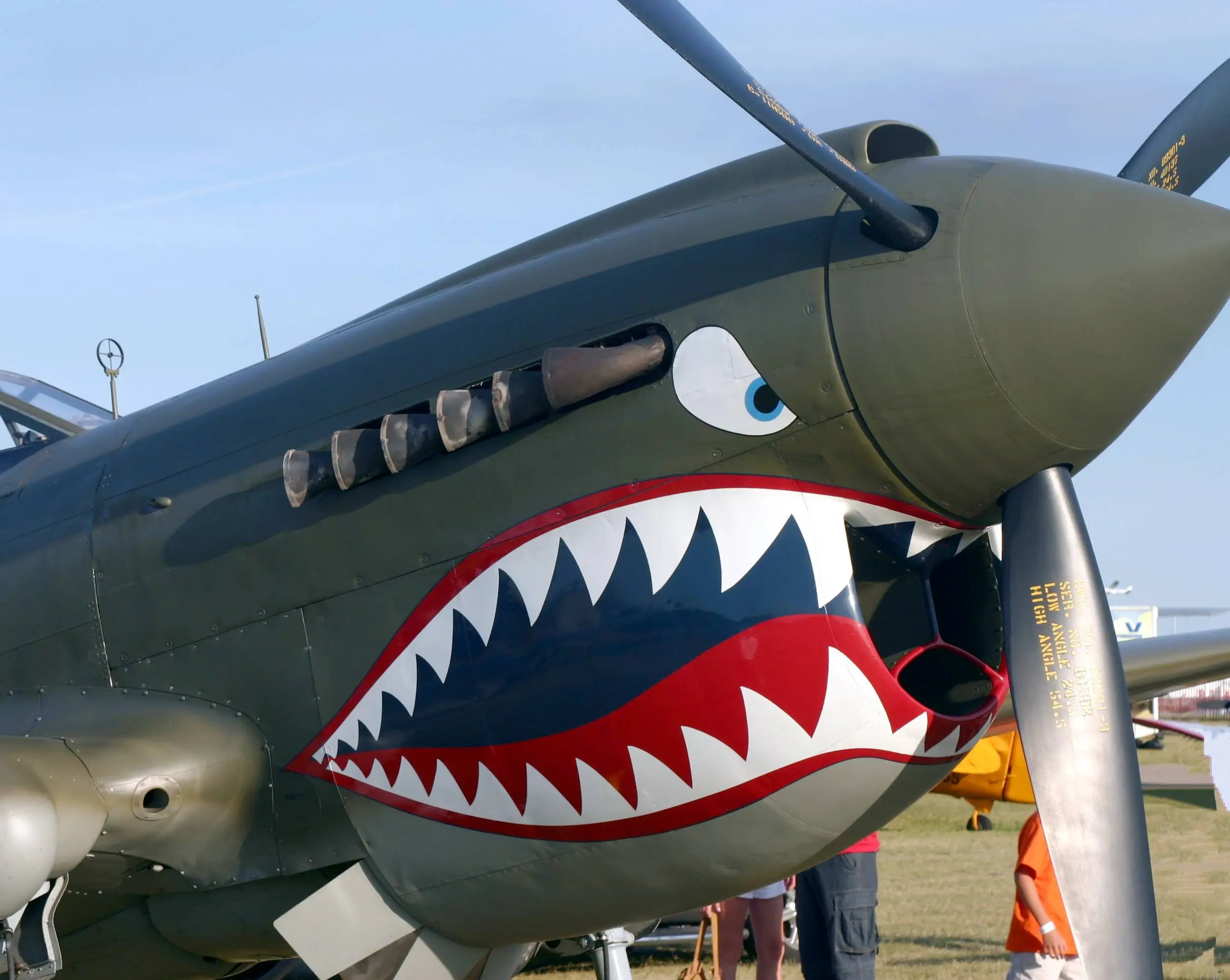 Warhawk