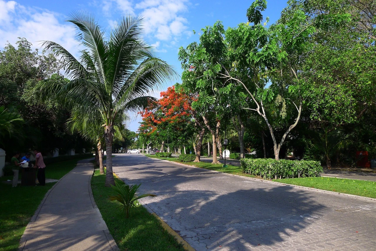 Way to the Hotel
