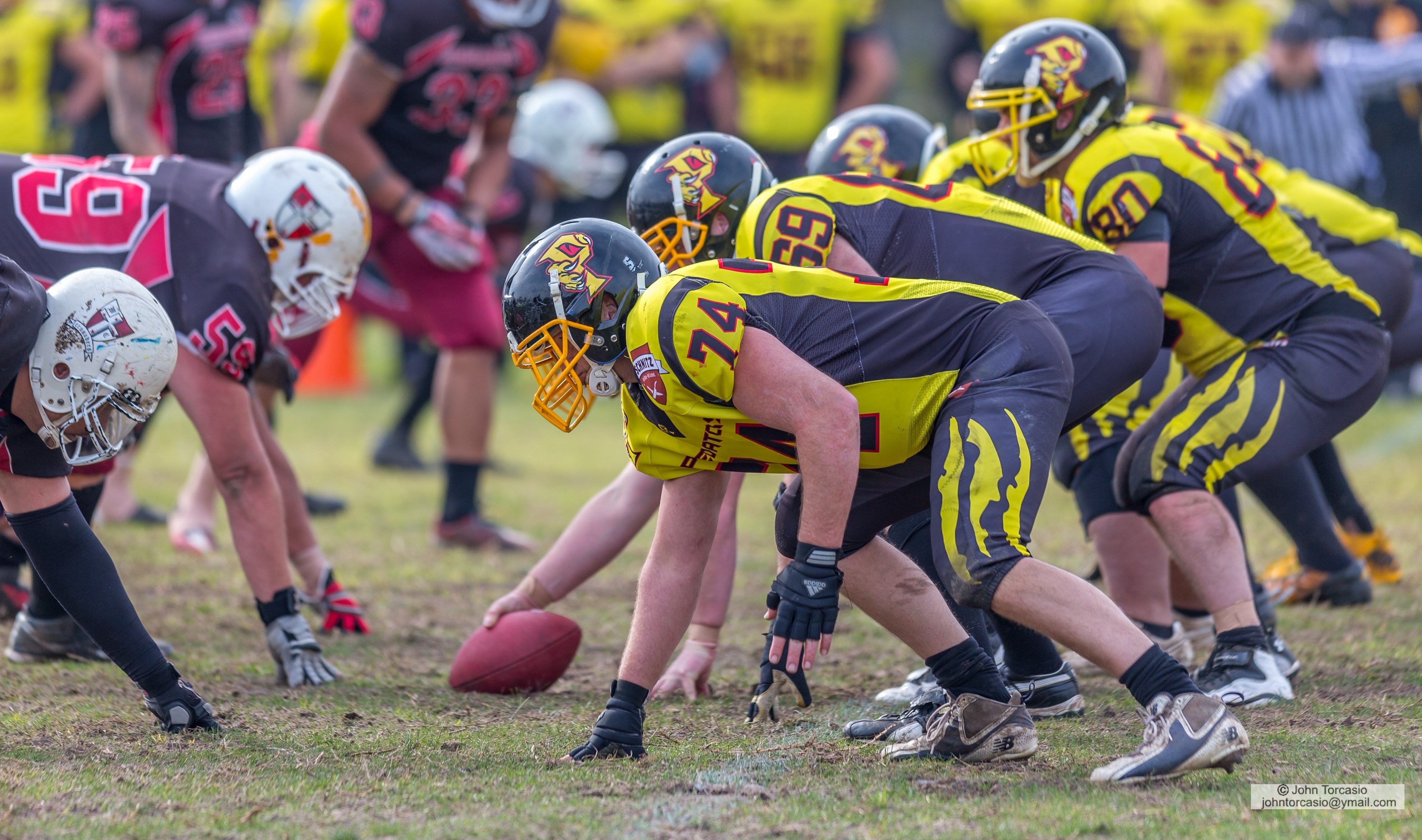 Western Crusaders vs South Eastern Predators