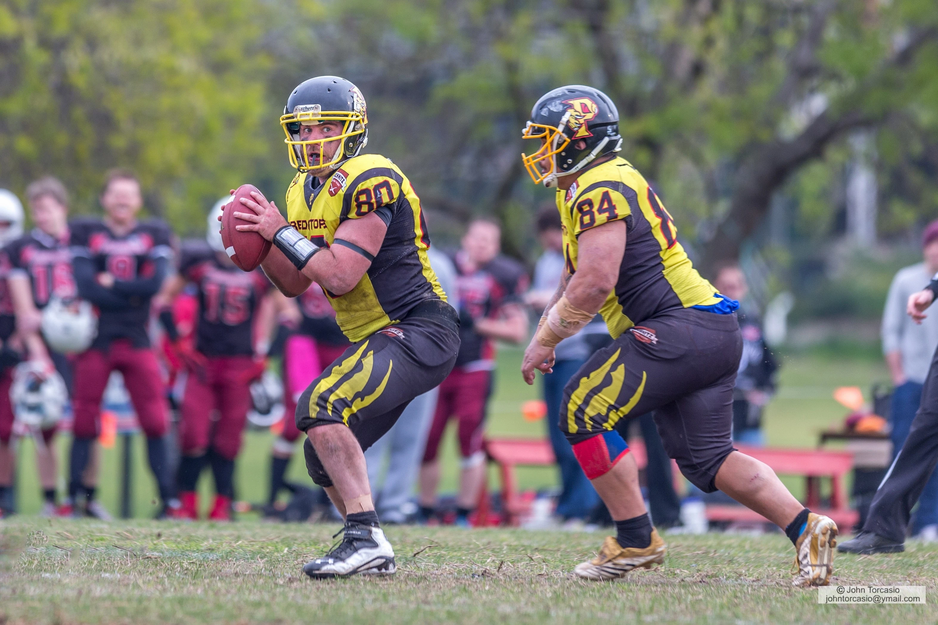 Western Crusaders vs South Eastern Predators