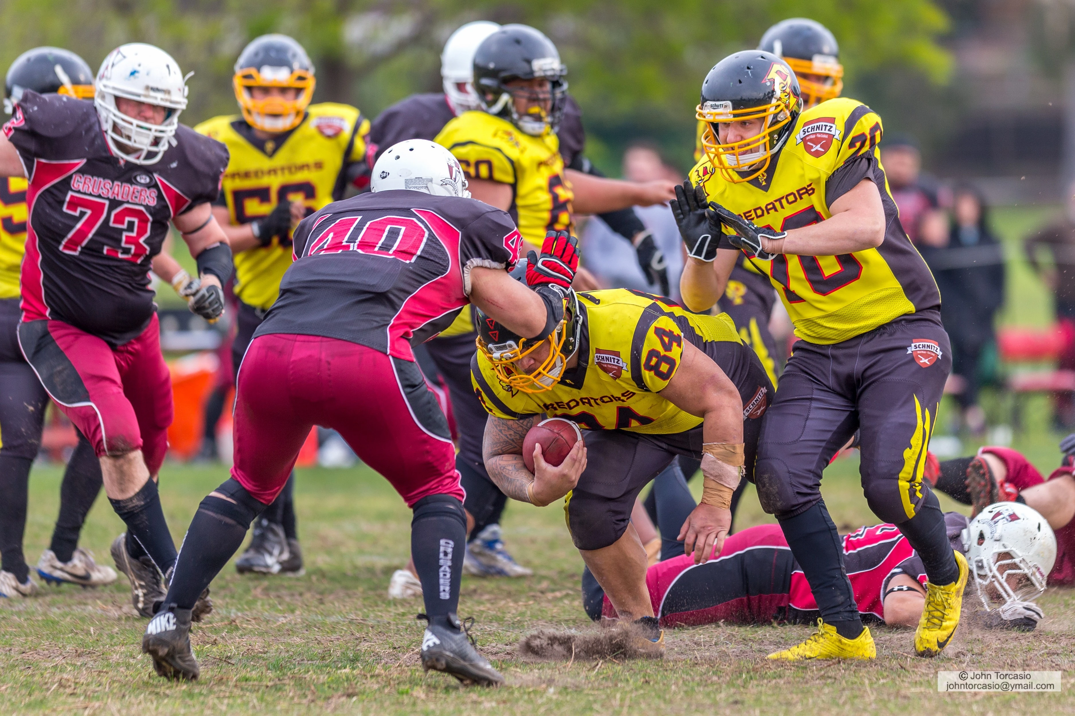 Western Crusaders vs South Eastern Predators