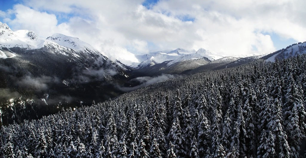 Whistler mountains