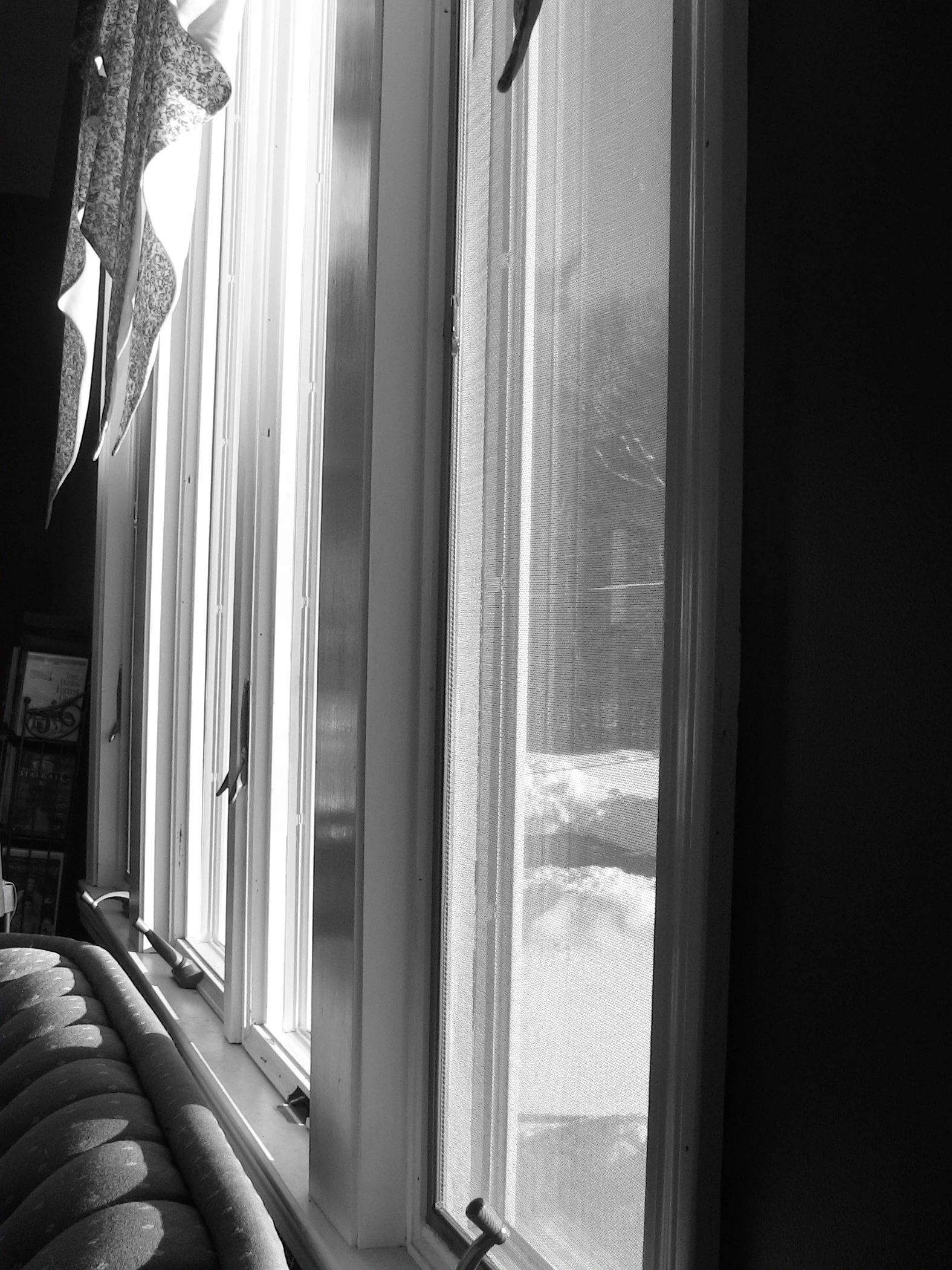 Window