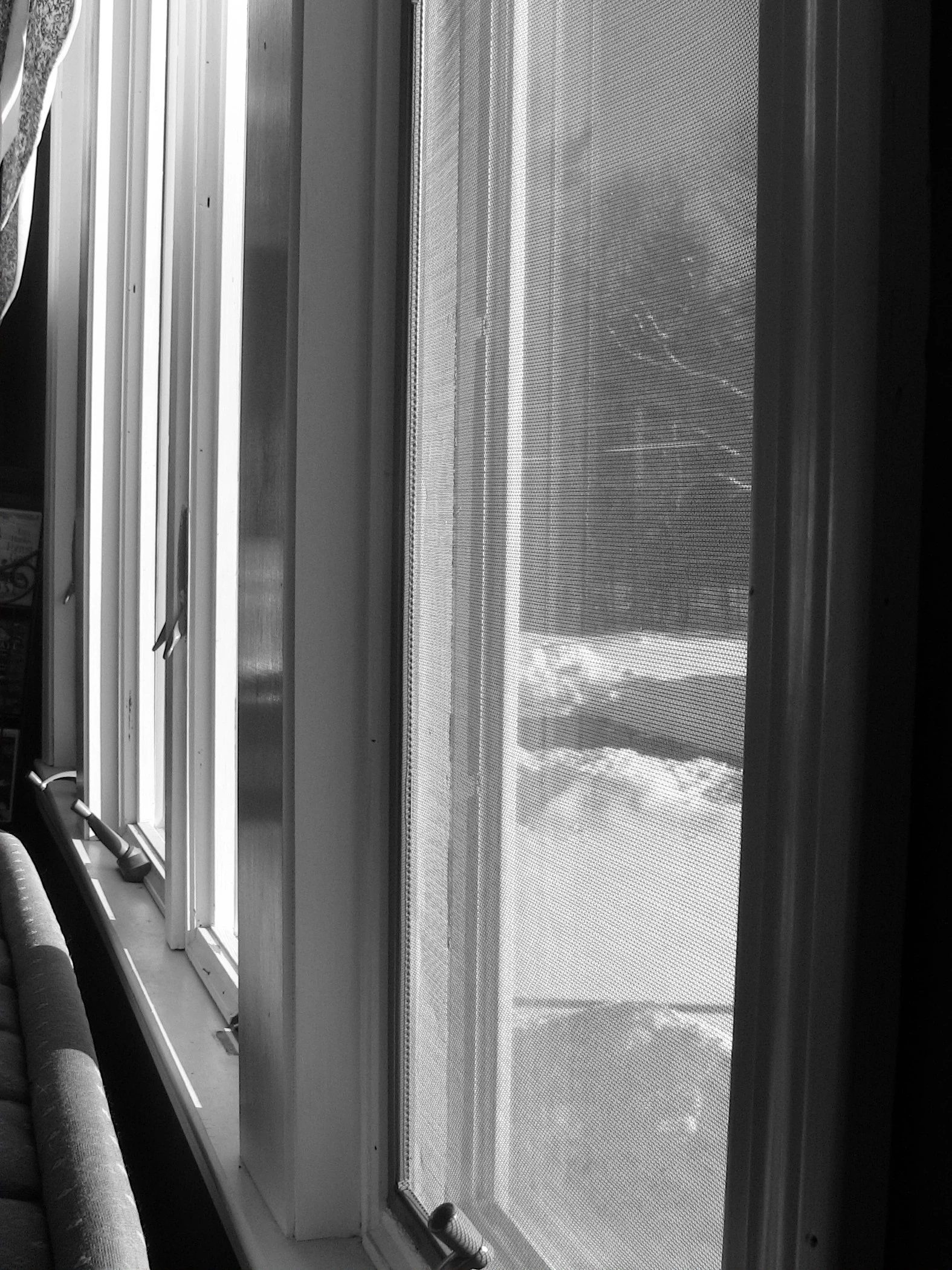 Window