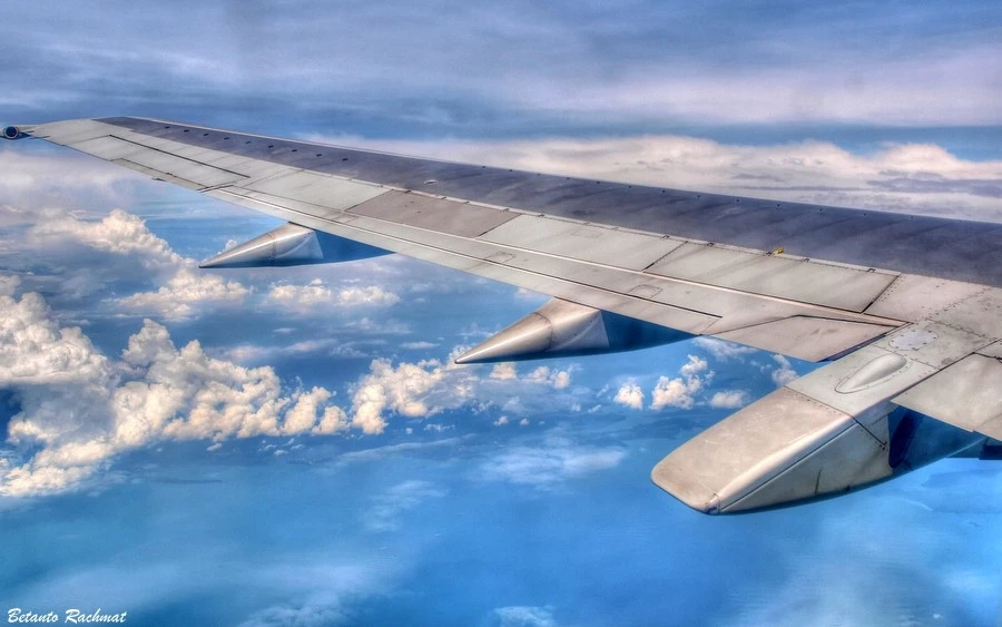 Wing