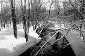 Winter_River