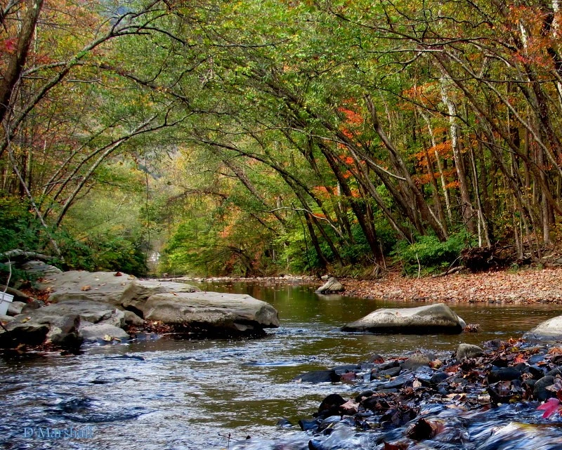 WV stream