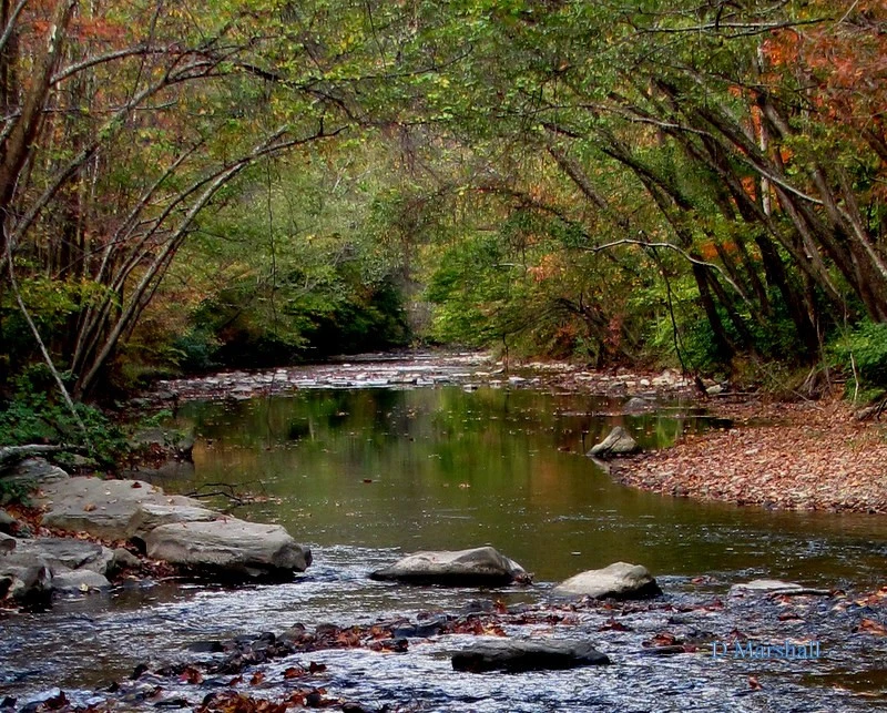 WV Water
