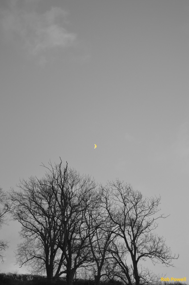 Yellow Moon