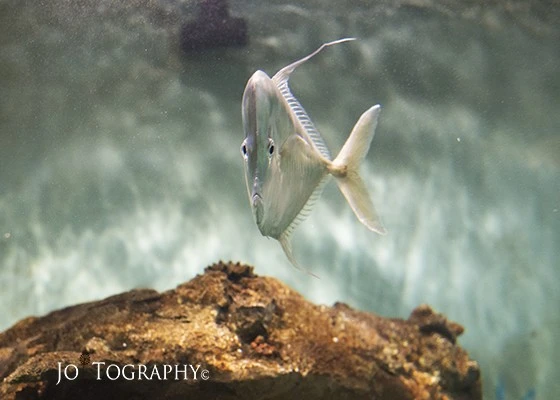 Zoo_03