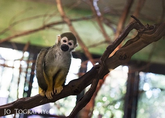 Zoo_57