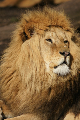 zoo25_sm.jpg