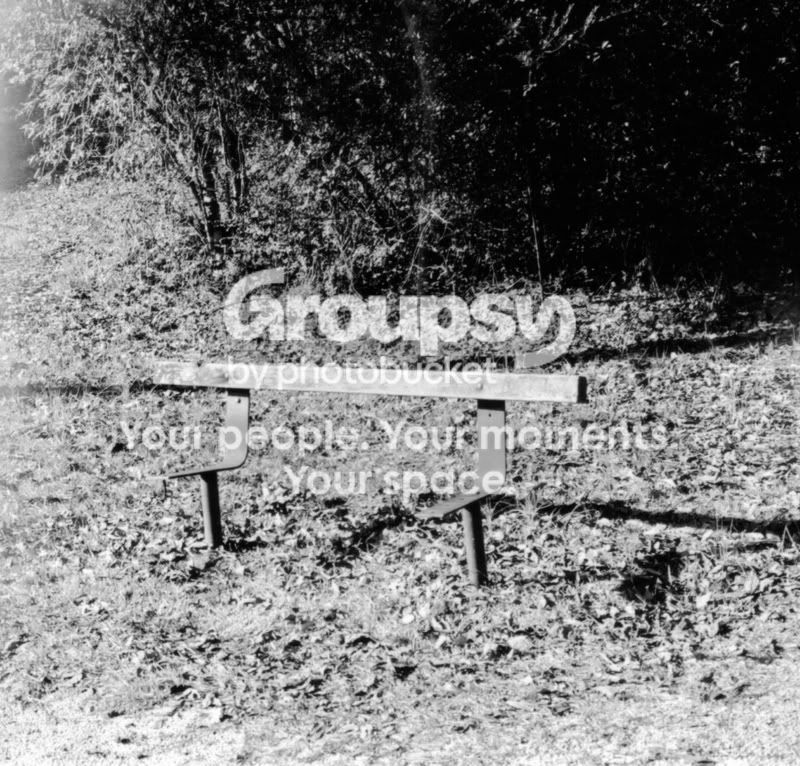 BrokeBench.jpg