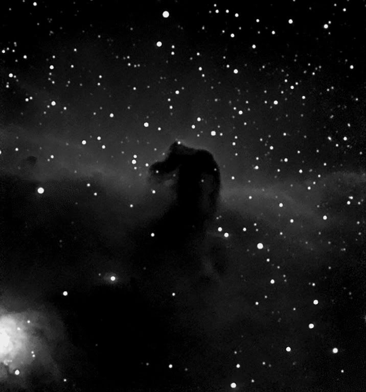 Horsehead001.jpg