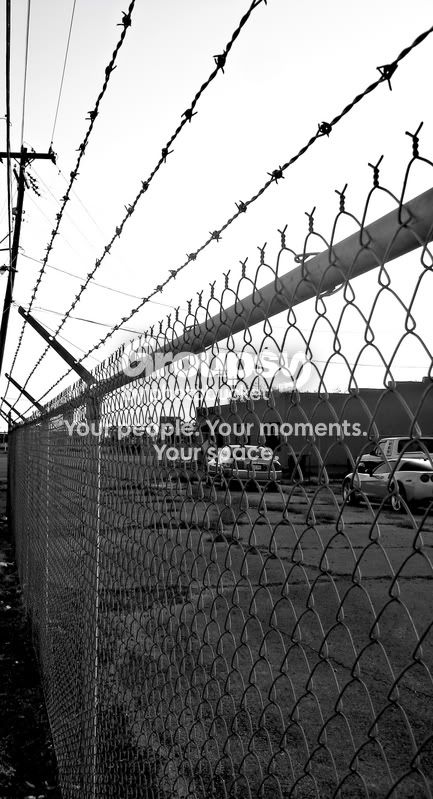 fence.jpg