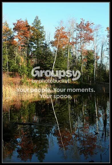 Pond3.jpg