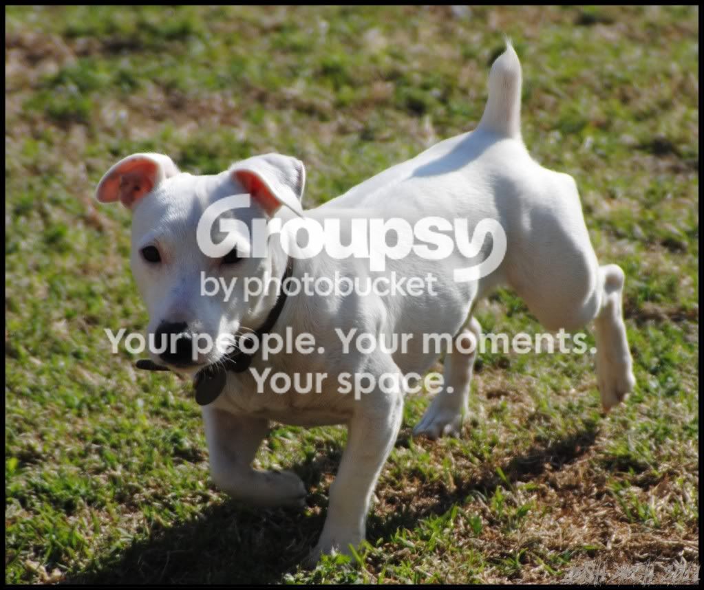 ripleyWM00002.jpg