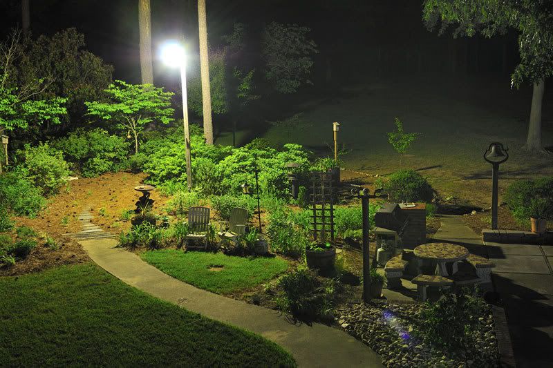 D30_5381_edited-1a.jpg